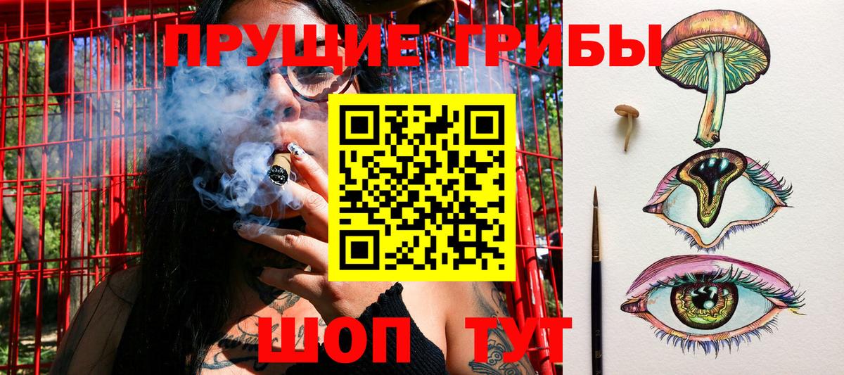 Галлюциногенные грибы Psilocybe  Вход с VPN  Галлюциногенные грибы MAGIC MUSHROOMS  Новочеркасск 